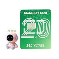Carte SIM IoT internationale pour jouets IA, couverture mondiale, abonnement 1 an, carte SIM de données M2M pour peluches intelligentes et robots interactifs