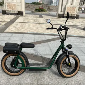 Adult Electric Bicycle 48v20-Inch Men's and Women's Scooter Electric Bike
