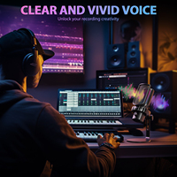 Microphone d'enregistrement de studio professionnel Offre Spéciale avec microphone à condensateur de support de bureau pour le chant de diffusion en direct
