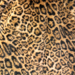 Commercio all'ingrosso, - Product Image 6