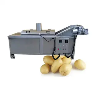 Automatische Nauwkeurige Temperatuurregeling Elektrische Stoomverwarming Fruitgroente Matsutake Brocoli Blancheermachine