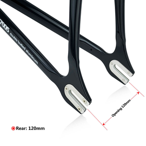 Telaio per Bicicletta a Scatto Fisso LOWII 700C 53/55cm/57cm in Lega di Alluminio con Forcella in Carbonio - Product Image 5