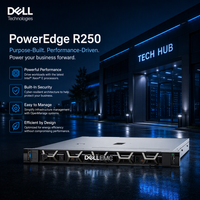 Serveur Rack 1U R250 pour Entreprise, Prêt pour la Virtualisation avec Mise à Niveau de Mémoire Intel Xeon E-2378G