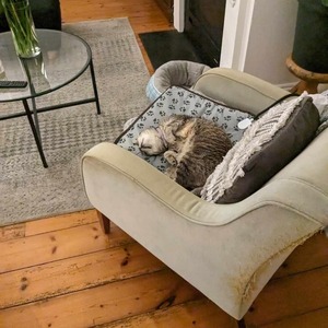 Almofada Térmica Premium para Animais de Estimação com Temperatura Ajustável, Tapete Térmico Resistente a Mordidas para Animais em Caixas, Camas e Casas - Product Image 4