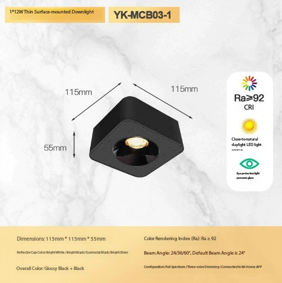 Single head 12W (all black version)