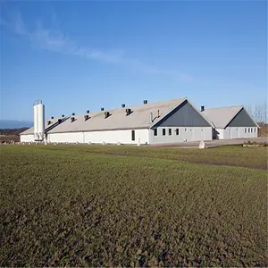 Padiglione Moderno a Grande Campata in Struttura d'Acciaio per Esposizioni Agricole e Astucci, per Allevamenti di Bestiame, Colture, Pollai e Fattorie - Product Image 2