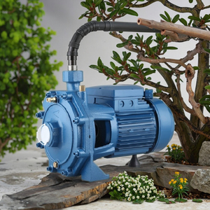 Bomba de agua para riego de jardín WB550 0.75HP 0.55KW TECHNIC POWER, autocebante, eléctrica, de hierro fundido - Product Image 5