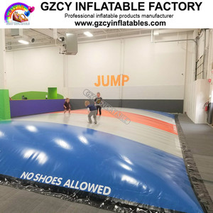 Giant Inflatable Jumping <strong>Pillow</strong> on Land Kangaroo Jumper Inflatable Jumper <strong>Pillow</strong> Pad - Product Image 3