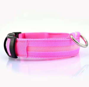 Collar LED Intermitente para Perro, Diseño Sólido, Poliéster Ecológico de Lujo para la Seguridad de las Mascotas - Product Image 1