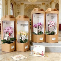 Boîte cadeau autoportante en papier kraft découpé pour bougie et portefeuille, motif orchidée en pot, portable