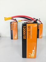 Batterie de drone rechargeable à décharge rapide 4S 16,8V 12000mAh 15C 180A avec connecteur XT60, cellules solides, 1000 cycles, BOOTER 4S1P