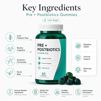 Gummies de pré- et postbiotiques OEM ODM pour un soutien ciblé de l'intestin et un équilibre immunitaire quotidien – Formule professionnelle de bien-être