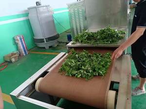 Penjualan terlaris larva pengering serangga pengeringan mesin dehidrasi <span class=keywords><strong>BSF</strong></span> larva mesin pengering industri pengering berkelanjutan - Product Image 6