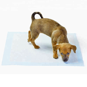 2024 nouveauté en gros jetable Extra Large charbon de bambou désodorisation Pad Pet chien toilette formation tampons pour chien - Product Image 1