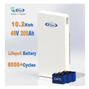 畅销家用储能48v 100ah锂离子电池48v 200ah太阳能Lifepo4电池48v 300ah