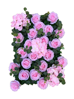 QIDA HQ-1004 artificielle classique rose fleur mur pour la décoration intérieure 2240