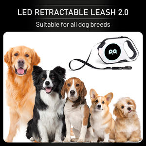 2025 Neue Einziehbare USB-Hundeleine für Haustiere 5m <span class=keywords><strong>Nylon</strong></span> im Western-Stil mit LED-Taschenlampe für Amazon-Bestseller zum Spazierengehen im Freien - Product Image 6