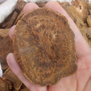 Da huang dry turkey rabarbaro radix natural Rheum palmatum roots fette tagli per erbe - Product Image 6