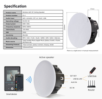 Haut-parleur de plafond multiroom AirPlay, DLNA, Wi-Fi, BT5.4, 60W, sans fil, ABS, 6,5 pouces, actif, pour home cinéma