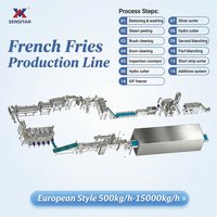 Ligne de production de frites surgelées certifiée CE 2T/H, entièrement automatique, pour la transformation des bâtonnets de pommes de terre frites