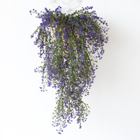 Plantes artificielles suspendues en plastique, lianes de verdure artificielle, feuilles détachables, 50 pièces de 80 cm pour la décoration de mariage, de fêtes et de la maison
