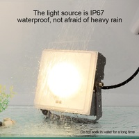 Lampu Sorot LED IP65 Luar Ruangan AC220V/AC/DC12-24V Sudut Sinar 30 Derajat Suhu Warna 3000K/4000K/6000K Aluminium Die-casting Pencahayaan PC