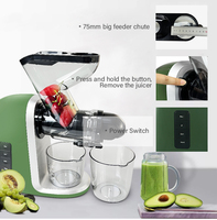 Extracteur de jus électrique à alimentation lente 75 mm pour fruits et légumes, avec grande goulotte d'alimentation, pour pommes, carottes, oranges
