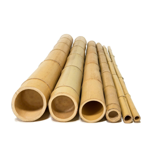 Los postes de bambú natural de los bosques de bambú de Vietnam brindan una sensación más natural a las aplicaciones de granja de jardín y soporte de plantas - Product Image 2