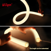 Ruban LED Néon Flexible en Silicone 30mm 360° IP65 RGB 2x120 LED/m, Découpable, IC à Courant Constant 5.56cm pour Éclairage Décoratif de Plafond et Moulures