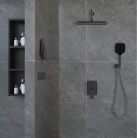 Kaca Shower Tanpa Bingkai dari Baja Tahan Karat 304, Partisi Shower Kaca Tempered Modern dengan Niche untuk Kamar Mandi Area Basah