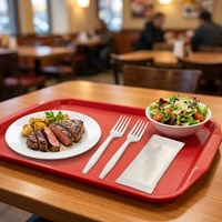 Ustensiles jetables biodégradables et compostables en CPLA résistant à l'huile et à la graisse pour aliments frits (couteau, fourchette, cuillère) – Idéal pour le camping