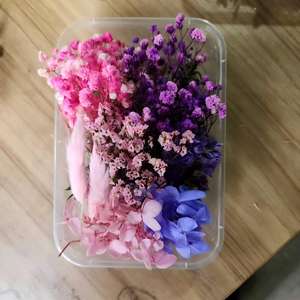 Kit de fleurs séchées vertes fraîches, feuillage et fleurs préservés en boîte pour la décoration de la maison, projets d'artisanat DIY, projets artistiques DIY, artisanat miniature - Product Image 2