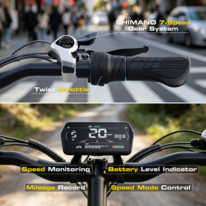 Vélo à pneus larges 20"x4.0, cadre en acier au carbone 750W, accélérateur à poignée 48V13Ah, stock en gros entrepôt USA, expédition 3-7 jours M20-2 20 pouces - Product Image 2