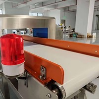 Détecteur de métaux pour convoyeur à bande alimentaire, pour ligne de production de produits de boulangerie et de snacks, en acier inoxydable, haute sensibilité