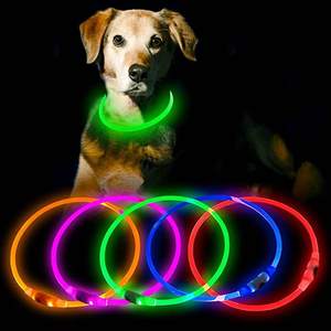 <span class=keywords><strong>Collar</strong></span> personalizado de seguridad nocturna brillante para mascotas, luz Led parpadeante, recargable por USB, para perro - Product Image 1