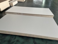 Contreplaqué d'intérieur de style moderne 18 mm E0 mélamine bouleau écologique résistant à l'eau 1 an Décoration haut de gamme Meubles