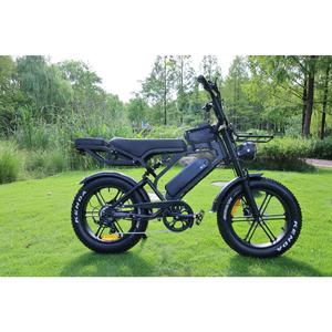 Vélo électrique Ecoride V8 750 W, pneus larges 15 Ah, livraison gratuite, double selle, tout-terrain - Product Image 1