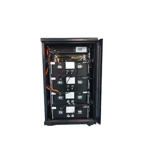 ESG新能源廉价Lifepo4 12v 24v 36v 48v蓄电池100ah 200ah汽车充电锂离子电池