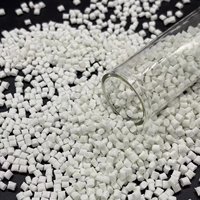 PET renforcé de fibres de verre LONGZHENG FRPETG30NC de qualité supérieure, ignifuge V0, haute résistance, résistant à la chaleur, pour moulage par injection