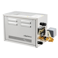 Machine à vapeur portable moderne en acier inoxydable 4,5 kW avec panneau de commande informatique pour usage domestique