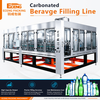 Ligne d'embouteillage de boissons gazeuses pour eau gazeuse CSD, machine de remplissage de bouteilles PET, ligne d'embouteillage 12000BPH clé en main