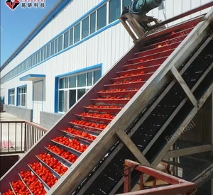 トマトペースト生産ライン設備自動機小型トマトペーストライン販売 - Product Image 3