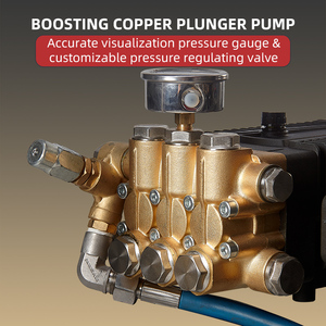 Lavadora de coche de agua caliente con alta presión 150Bar Limpiador de vapor Excelente estado Bomba de plástico eléctrica Motor Nuevo - Product Image 3