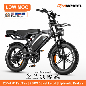 Vélo électrique à gros pneus QMWHEEL OEM ODM, 20 pouces, pour adultes, avec frein hydraulique, entrepôt aux États-Unis, aux Pays-Bas et en Australie - Product Image 1