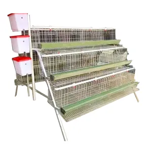 30 Years Lifetime Egg Hen Chicken Cage Layer Poultry Farm