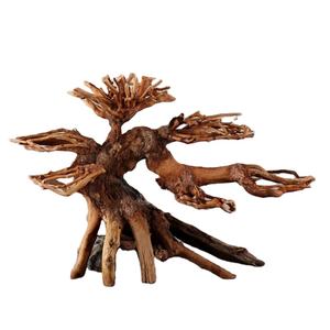 ต้นมอสตกแต่งตู้ปลา ไม้ลอยน้ำ ธรรมชาติ สไตล์คลาสสิก หินกรีนดราก้อน หญ้าโครงกระดูก พืชน้ำ ปะการัง - Product Image 1