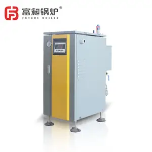 18 KW small electric steam generator