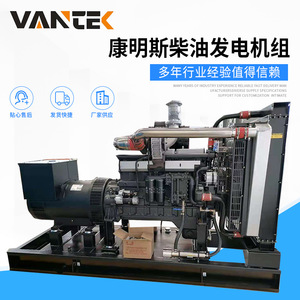 เจียงซู wantai 300kW เครื่องกำเนิดไฟฟ้าดีเซล220/380V 50Hz แบบฐานควบคุมแรงดันไฟฟ้าอัตโนมัติ - Product Image 5
