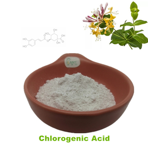 Poudre d'acide chlorogénique naturel pur HPLC 99% soluble dans l'eau, extrait de fleur de chèvrefeuille Lonicera Japonica en poudre 10:1 CAG 5%- 98% - Product Image 1
