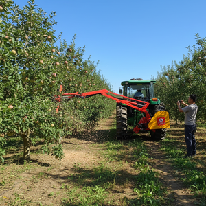 Desbrozadora Hidráulica de Alta Eficiencia con Brazo Articulado Trasero para Tractor, Cortadora de Borde para Mantenimiento Agrícola y de Carreteras - Product Image 6